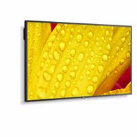 Skærm NEC 60005048 43" 4K Ultra HD LED 43" IPS 50-60 Hz