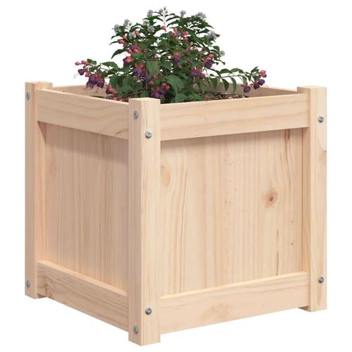 Plantekasse 40x40x40 cm massivt fyrretræ