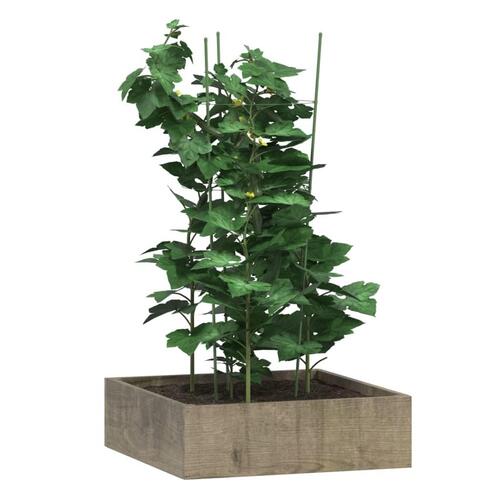 Plantestativ med 3 ringe 5 stk. 75 cm stål grøn