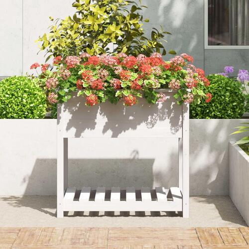 Plantekasse med hylde 82,5x54x81 cm massivt fyrretræ hvid