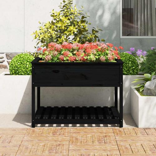 Plantekasse med hylde 111,5x111,5x81 cm massivt fyrretræ sort