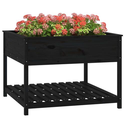 Plantekasse med hylde 111,5x111,5x81 cm massivt fyrretræ sort