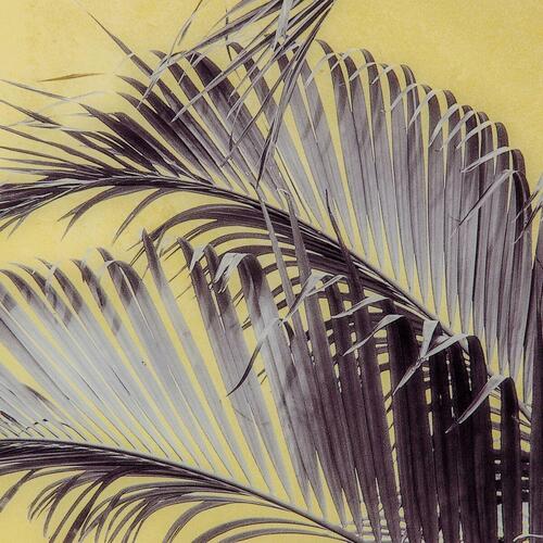 Lærred Palmera 100 x 2,5 x 100 cm Ark