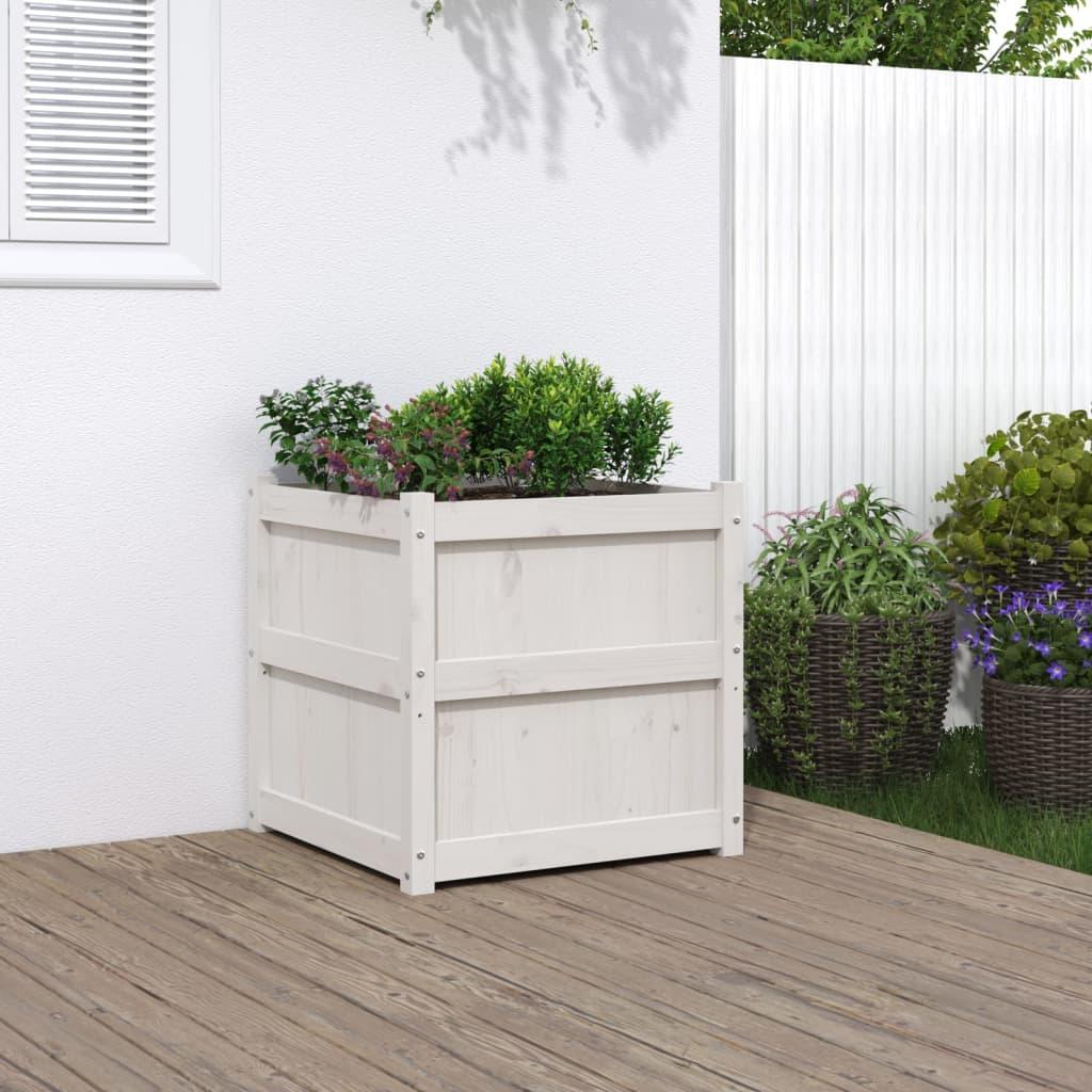 Plantekasse 60x60x60 cm massivt fyrretræ hvid