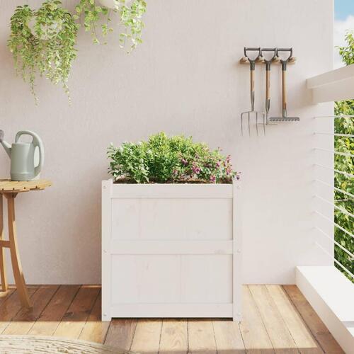 Plantekasse 60x60x60 cm massivt fyrretræ hvid