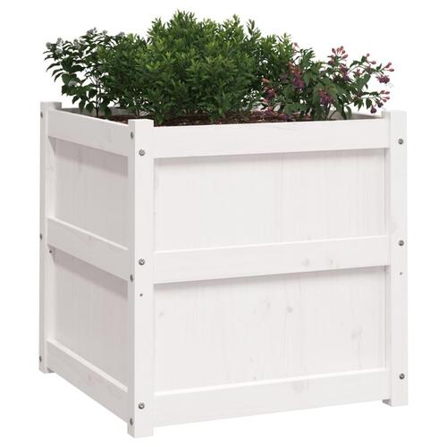 Plantekasse 60x60x60 cm massivt fyrretræ hvid