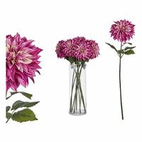 Dekorativ blomst Grøn Pink 16 x 74 x 16 cm Dahlia (16 x 74 x 16 cm) Pink