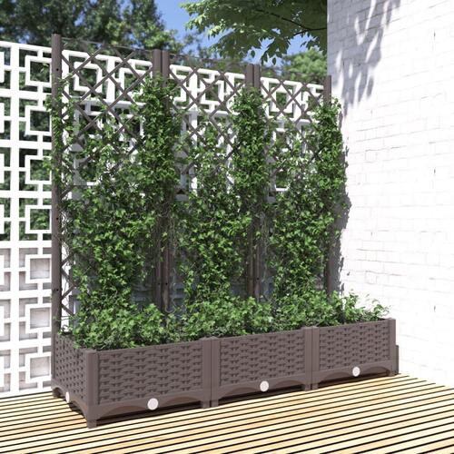 Plantekasse med espalier 120x40x121,5 cm PP brun