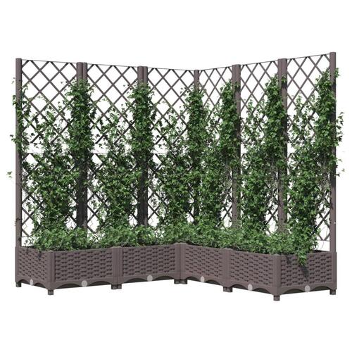 Plantekasse med espalier 120x120x121,5 cm PP brun