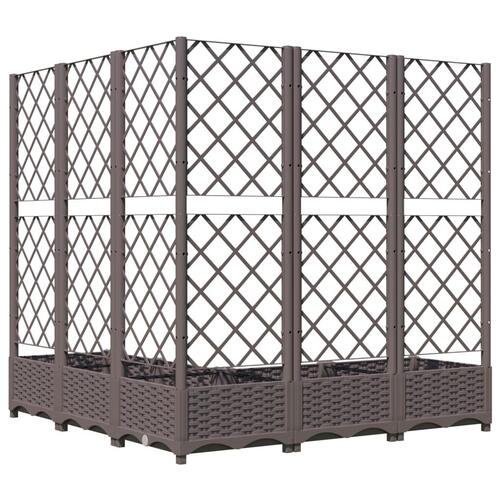 Plantekasse med espalier 120x120x121,5 cm PP brun