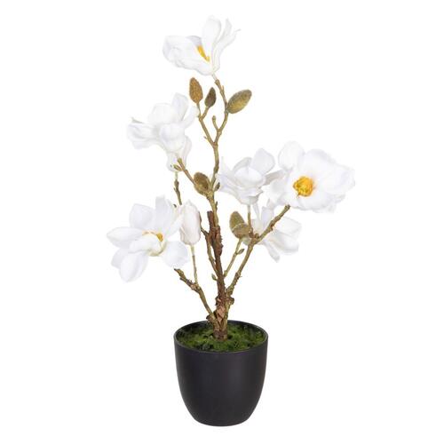 Dekorativ plante Polyester Polyetylen Jern 25 x 25 x 49 cm Magnolia