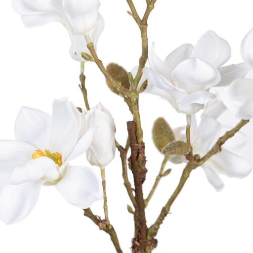 Dekorativ plante Polyester Polyetylen Jern 25 x 25 x 49 cm Magnolia