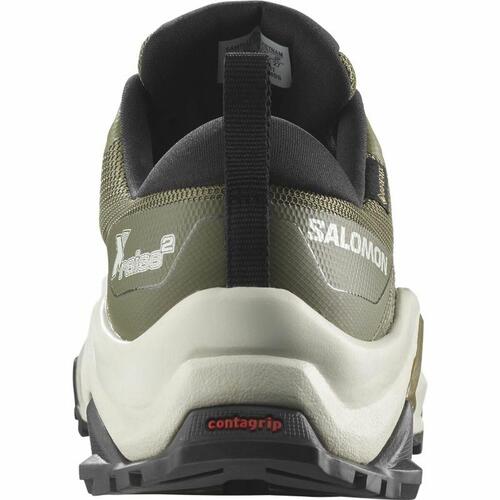 Løbesko til voksne Salomon X Raise 2 Gore-Tex Grøn Mænd 44