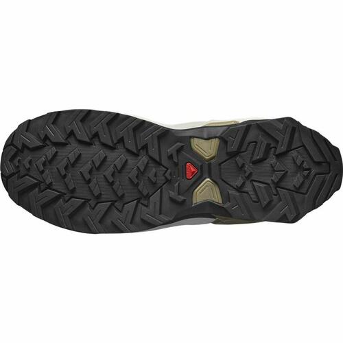 Løbesko til voksne Salomon X Raise 2 Gore-Tex Grøn Mænd 44