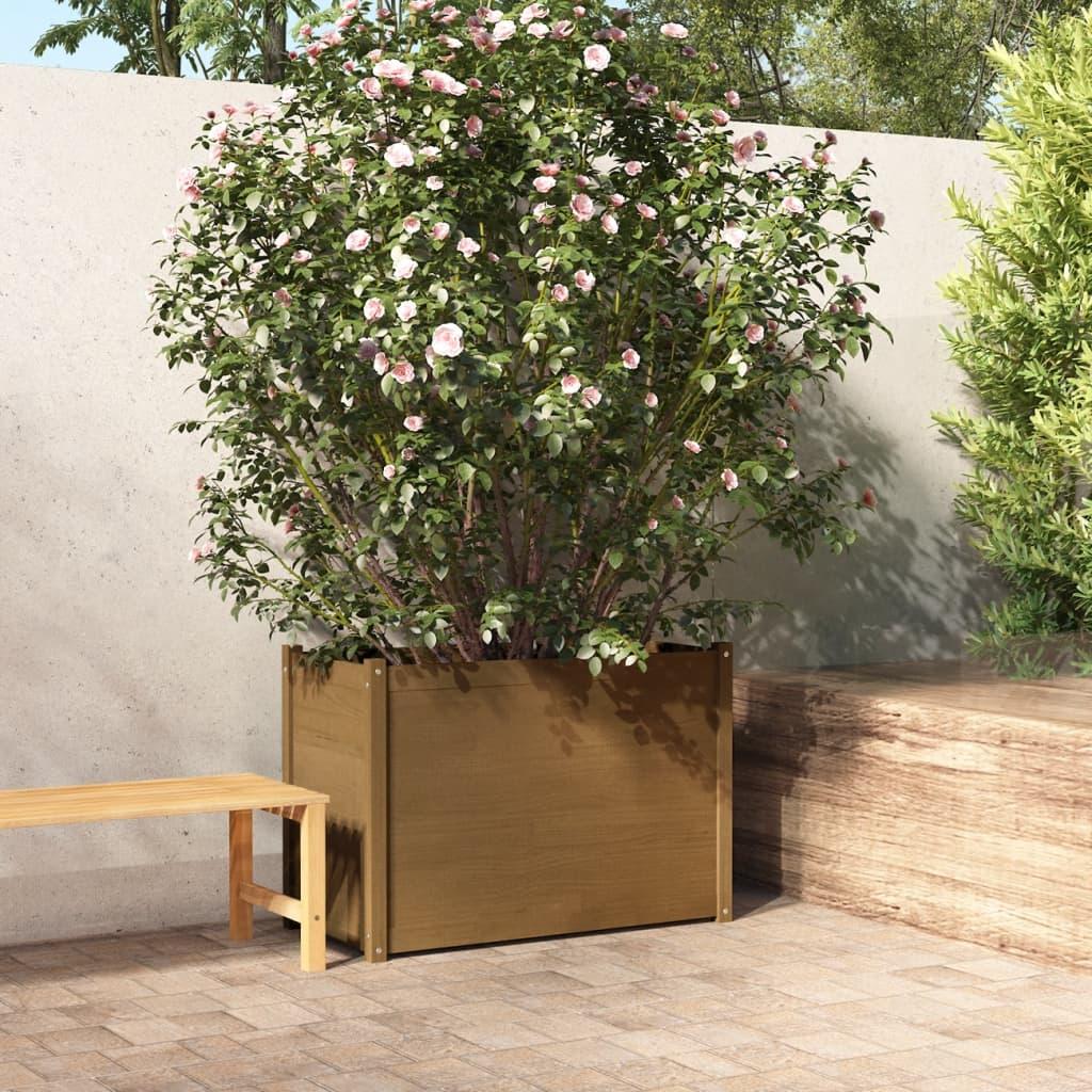 Plantekasse 100x50x70 cm massivt fyrretræ gyldenbrun