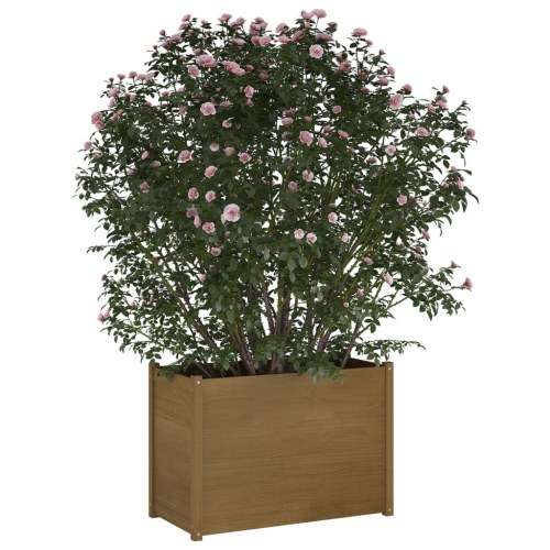 Plantekasse 100x50x70 cm massivt fyrretræ gyldenbrun