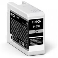 Original blækpatron Epson C13T46S700 25 ml Sort Grå