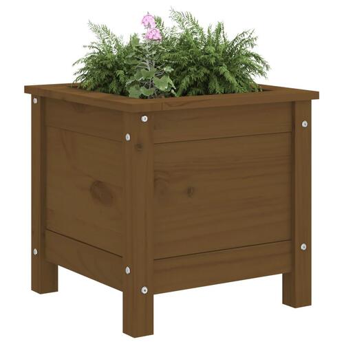 Plantekasse 40x40x39 cm massivt fyrretræ gyldenbrun