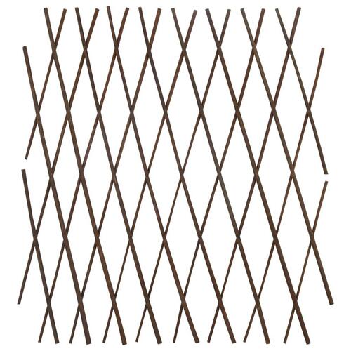 Pilehegn med espalier 5 stk. 180 x 60 cm