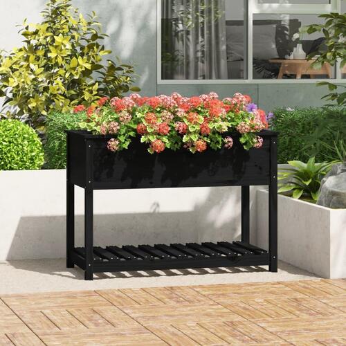 Plantekasse med hylde 111,5x54x81 cm massivt fyrretræ sort