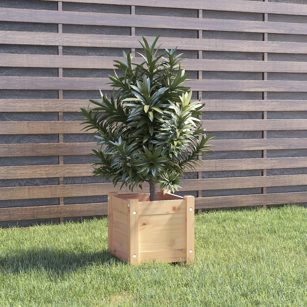 Plantekasse 31x31x31 cm massivt fyrretræ
