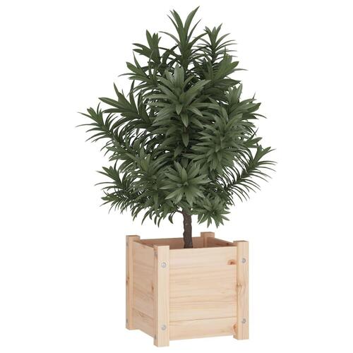 Plantekasse 31x31x31 cm massivt fyrretræ