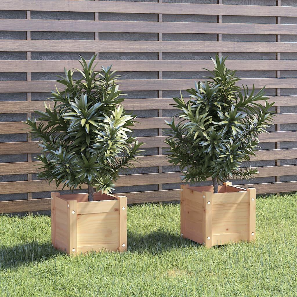 Plantekasser 2 stk. 31x31x31 cm massivt fyrretræ