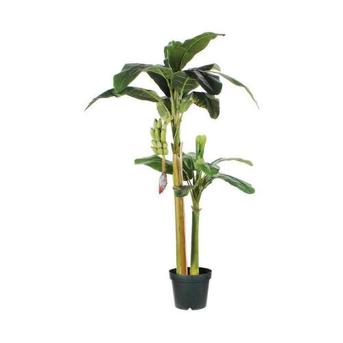 Dekorativ plante Mica Decorations (115 x 180 cm)