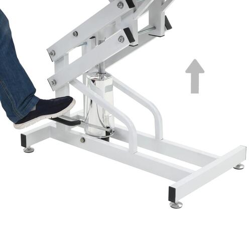 Hydraulisk vaske-/trimmebord til kæledyr justérbart