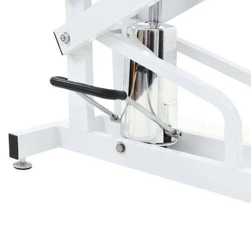 Hydraulisk vaske-/trimmebord til kæledyr justérbart