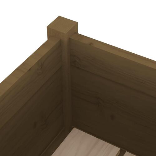 Plantekasse 70x31x70 cm massivt fyrretræ gyldenbrun