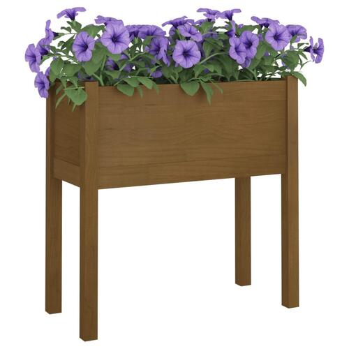 Plantekasser 2 stk. 70x31x70 cm massivt fyrretræ gyldenbrun