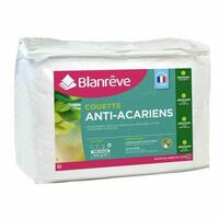 Dyne Blanreve 420 g/m² (140 x 200 cm)