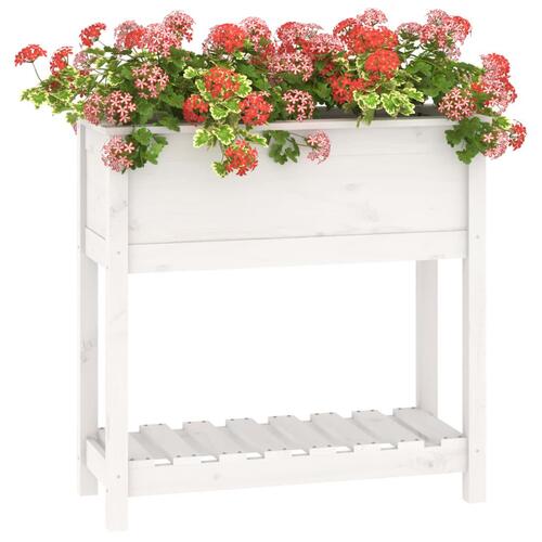 Plantekasse med hylde 82,5x34,5x81 cm massivt fyrretræ hvid