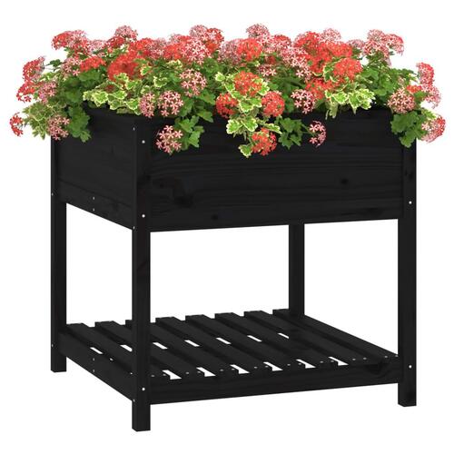 Plantekasse med hylde 82,5x82,5x81 cm massivt fyrretræ sort