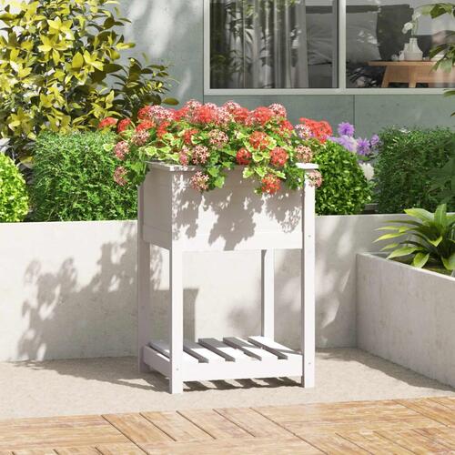 Plantekasse med hylde 54x54x81 cm massivt fyrretræ hvid