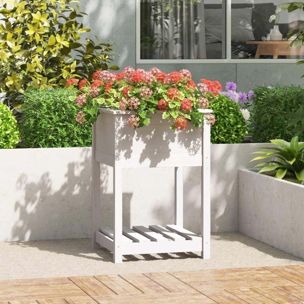 Plantekasse med hylde 54x54x81 cm massivt fyrretræ hvid