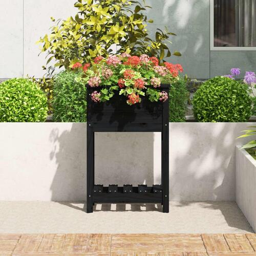 Plantekasse med hylde 54x34,5x81 cm massivt fyrretræ sort