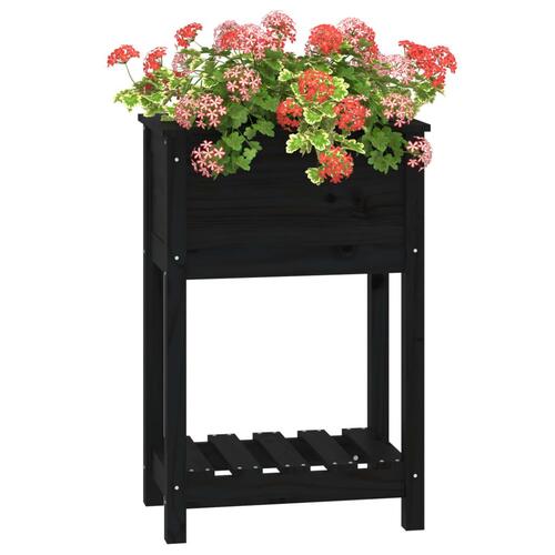 Plantekasse med hylde 54x34,5x81 cm massivt fyrretræ sort