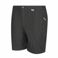 Sport shorts til mænd Regatta Sort 42