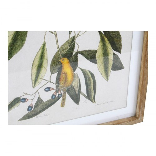 Malerier - Bird Krystal/Gran 55 × 2,5 × 70 cm (sæt á 4)
