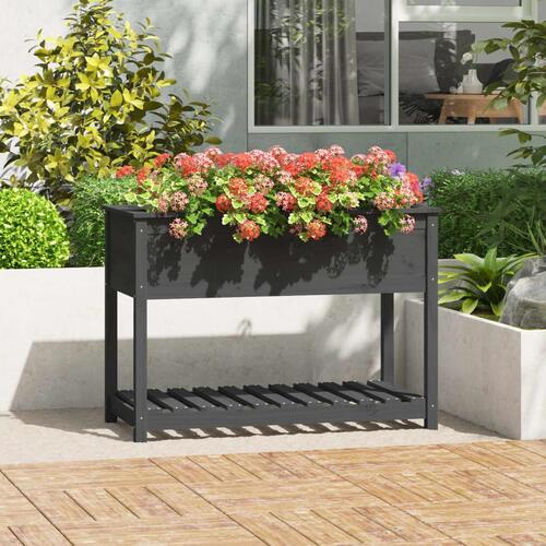 Plantekasse med hylde 111,5x54x81 cm massivt fyrretræ grå
