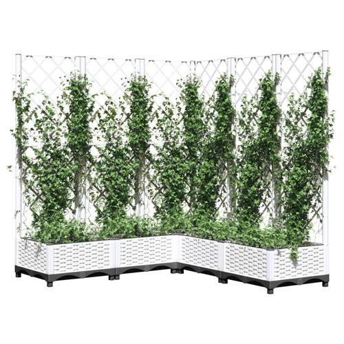 Plantekasse med espalier 120x120x121,5 cm PP hvid