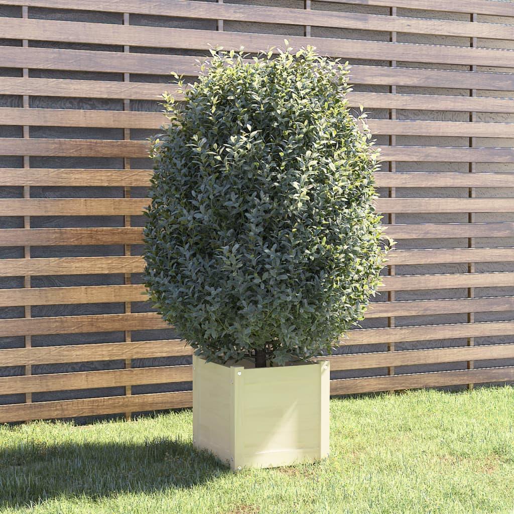 Plantekasse 40x40x40 cm massivt fyrretræ hvid