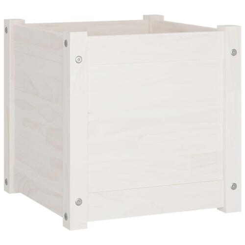 Plantekasse 40x40x40 cm massivt fyrretræ hvid