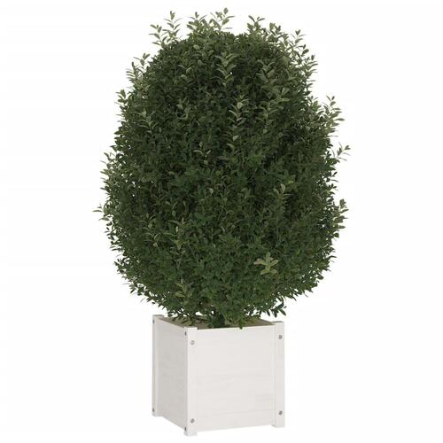 Plantekasse 40x40x40 cm massivt fyrretræ hvid