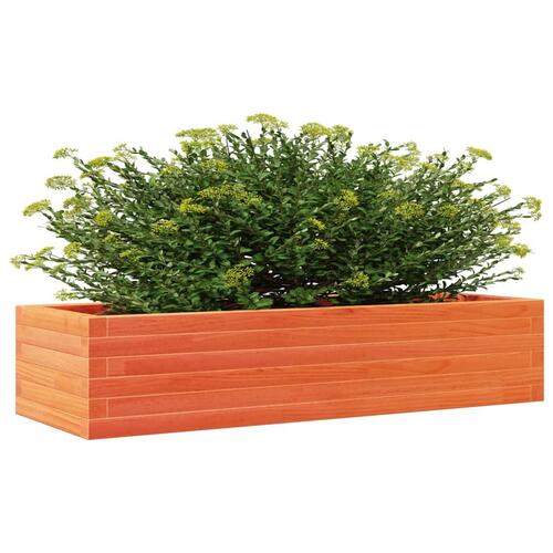 Plantekasse 110x40x23 cm massivt fyrretræ gyldenbrun