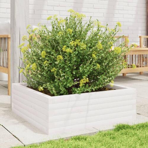 Plantekasse 70x70x23 cm massivt fyrretræ hvid