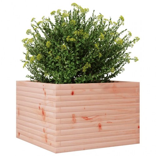 Plantekasse 70x70x45,5 cm massivt douglasgran