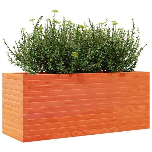 Plantekasse 110x40x45,5 cm massivt fyrretræ gyldenbrun